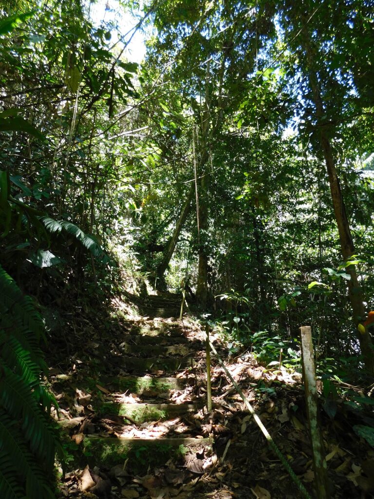 Borneo Kota Kinabalu Ścieżki mojego świata 