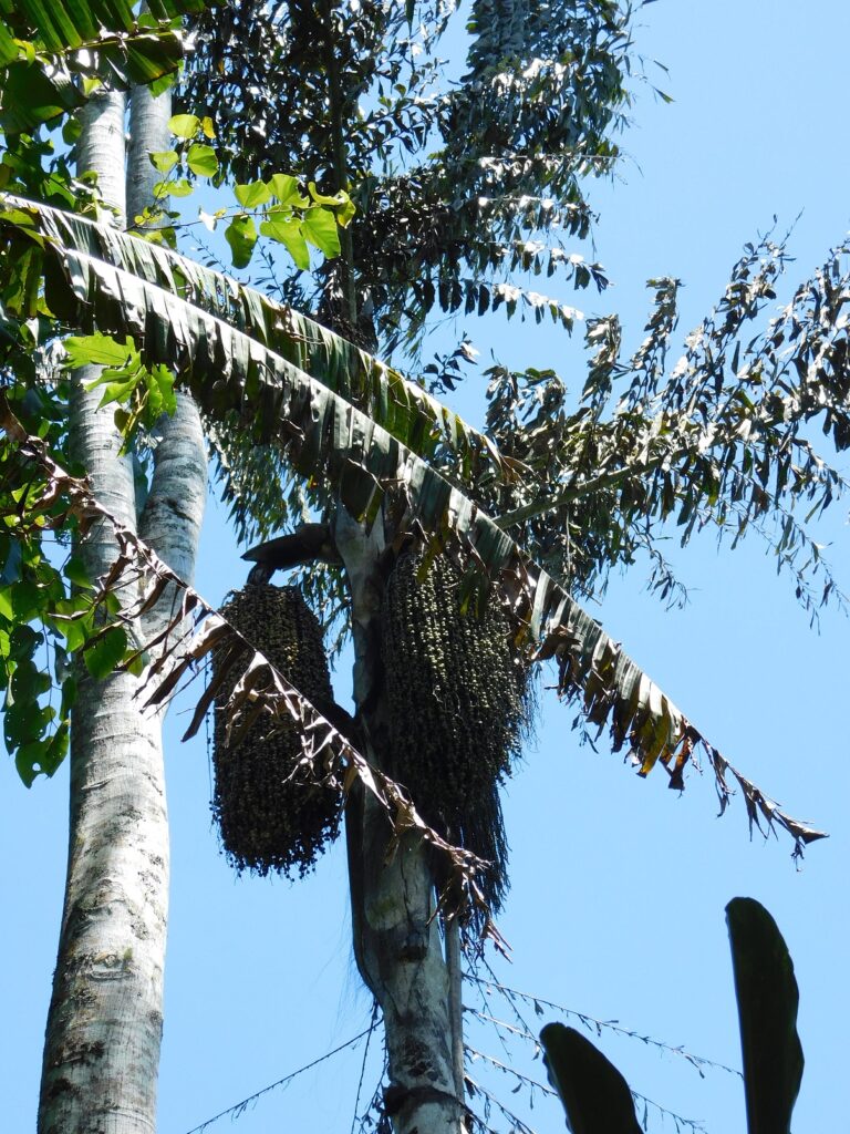 Borneo Kota Kinabalu Ścieżki mojego świata 