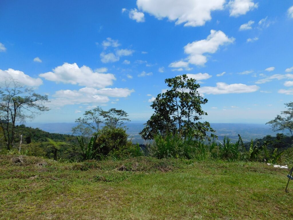 Borneo Kota Kinabalu Ścieżki mojego świata 