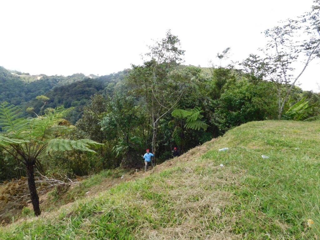 Borneo Kota Kinabalu Ścieżki mojego świata 
