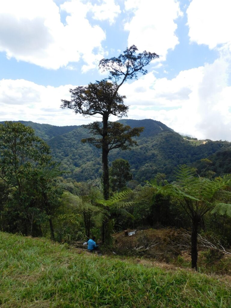 Borneo Kota Kinabalu Ścieżki mojego świata 