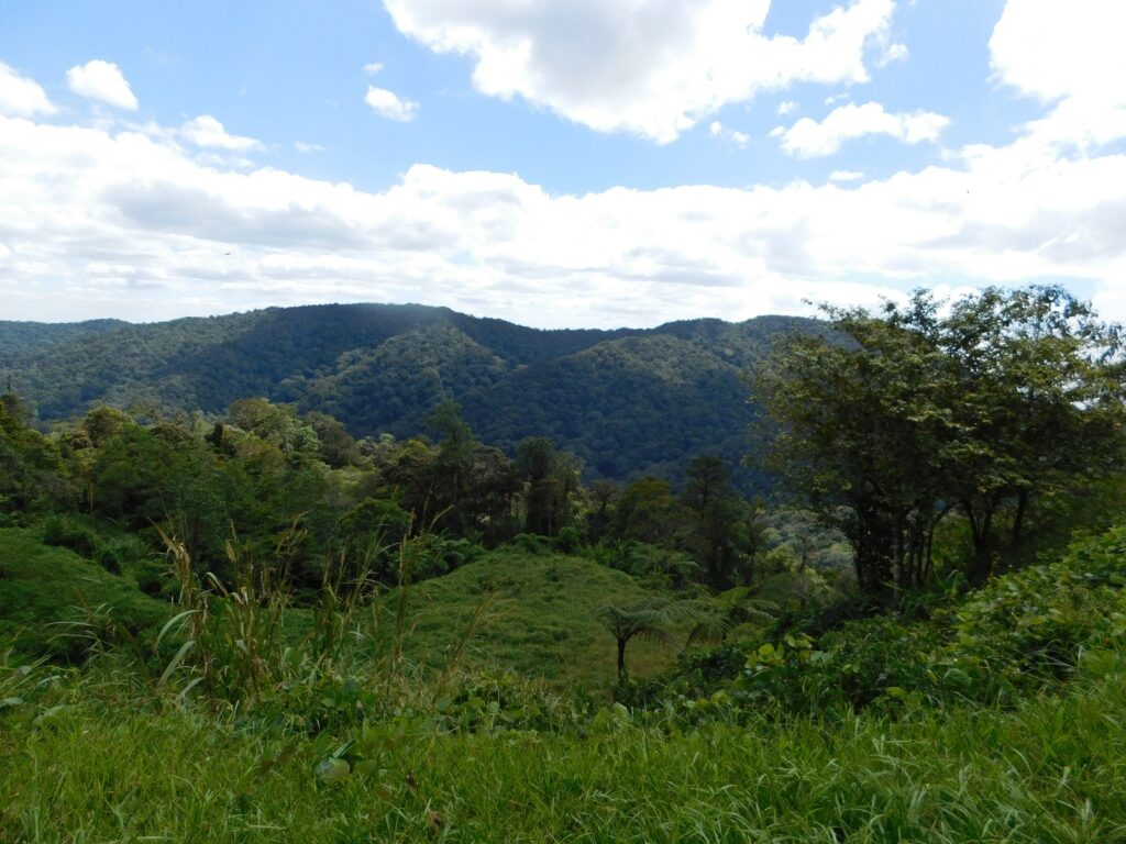 Borneo Kota Kinabalu Ścieżki mojego świata 