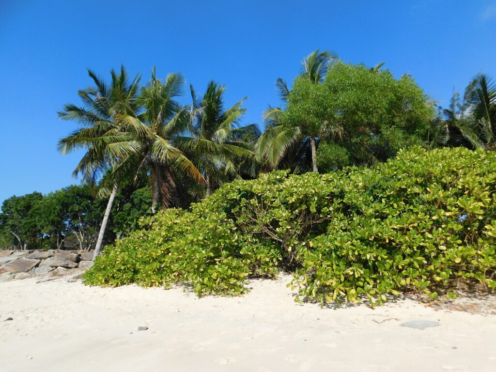 Borneo Kota Kinabalu Ścieżki mojego świata 