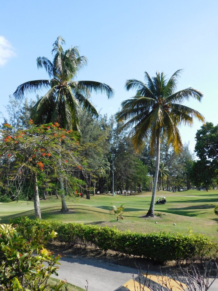 Borneo Kota Kinabalu Ścieżki mojego świata 