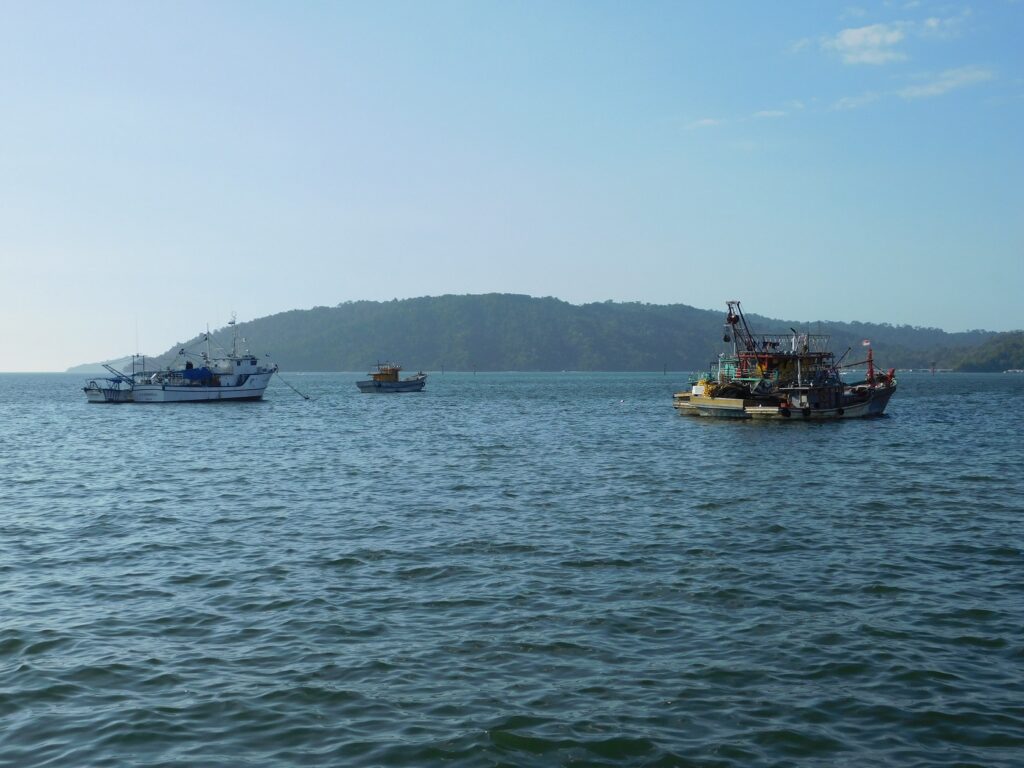 Borneo Kota Kinabalu Ścieżki mojego świata 