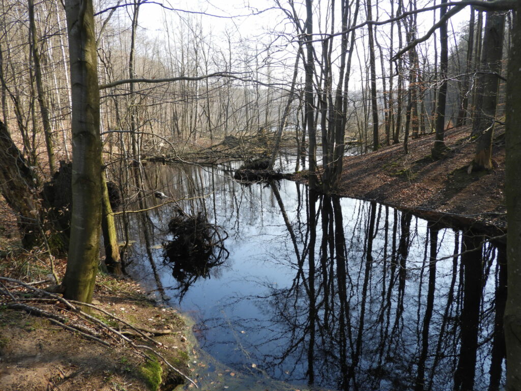 Pojezierze Kaszubskie