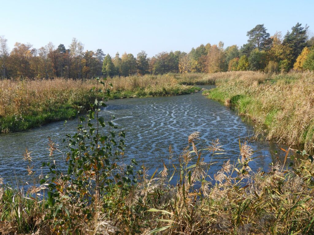 Ścieżki mojego świata Brannäs Våtmark Oxelösund