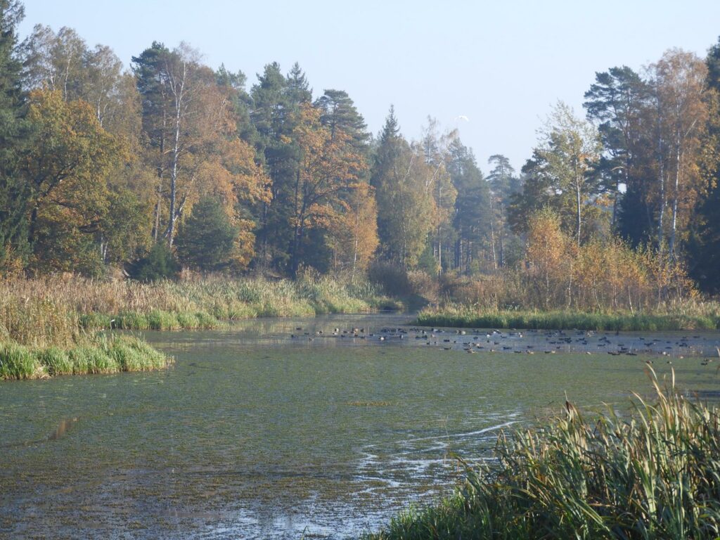 Ścieżki mojego świata Brannäs Våtmark Oxelösund