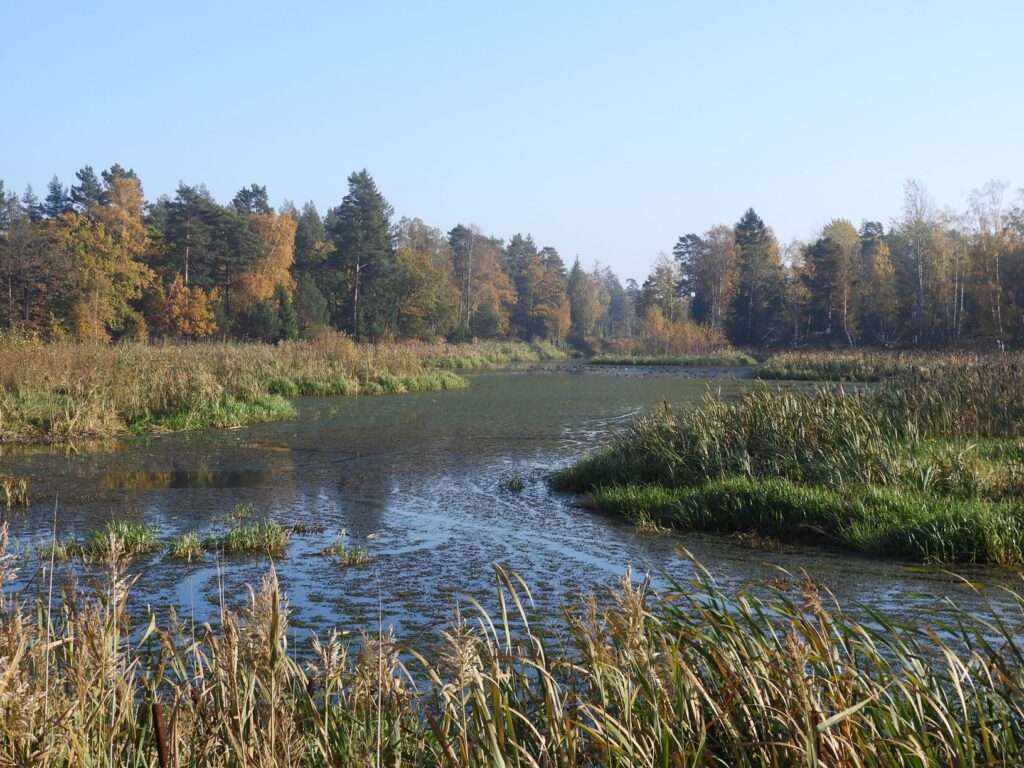 Ścieżki mojego świata Brannäs Våtmark Oxelösund