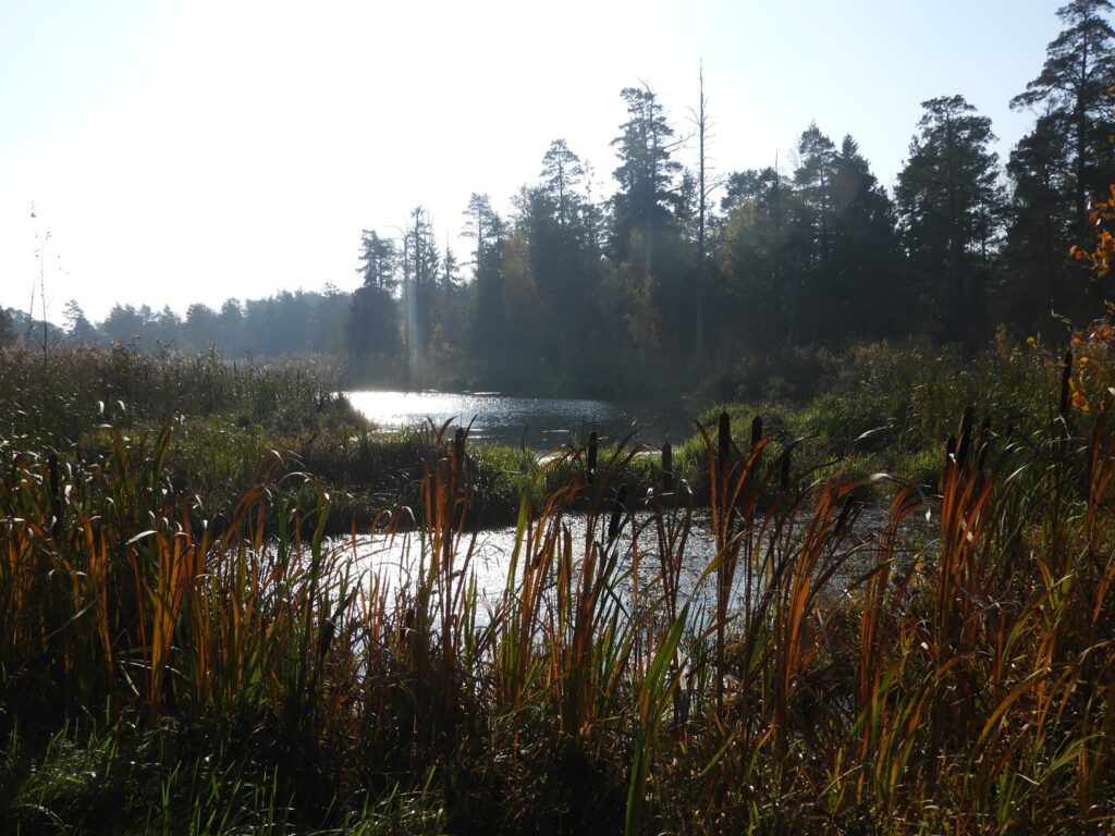 Ścieżki mojego świata Brannäs Våtmark Oxelösund