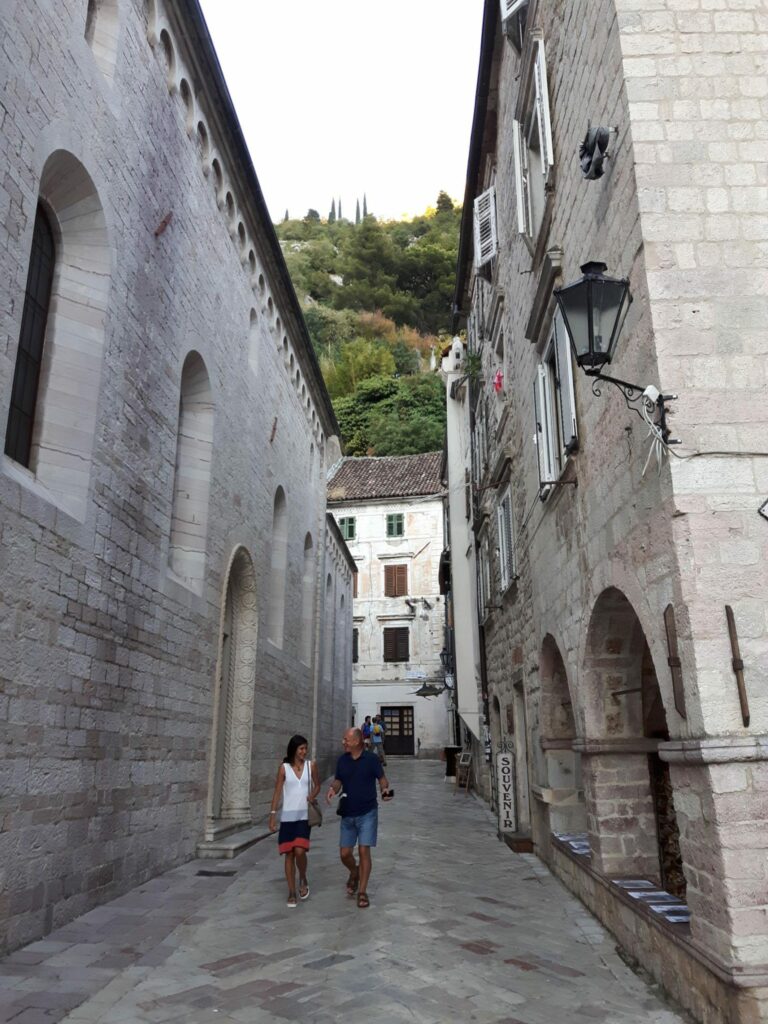 Kotor