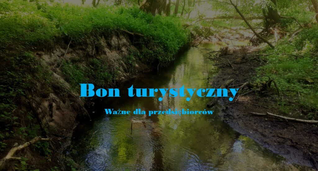 Bon turystyczny 