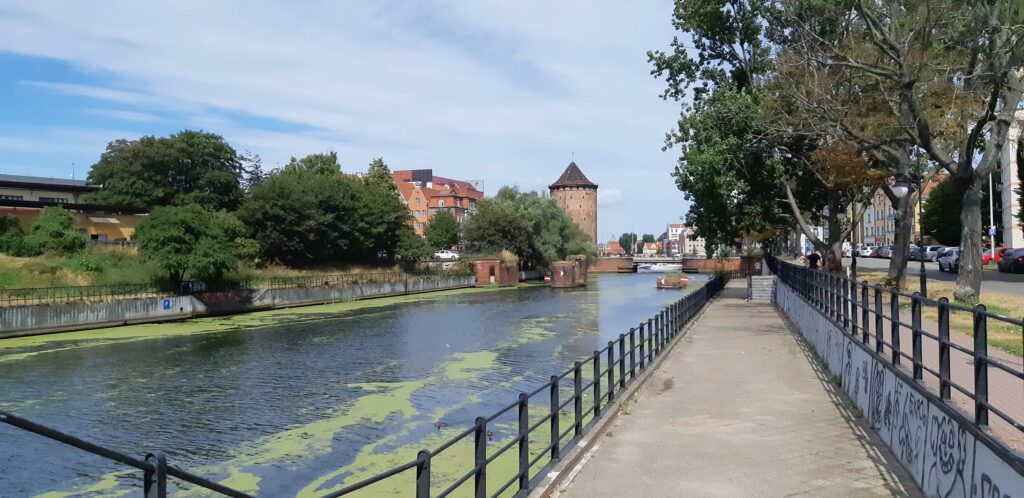  Lokalni Przewodnicy i Przewodniczki Ścieżki Mojego Świata 