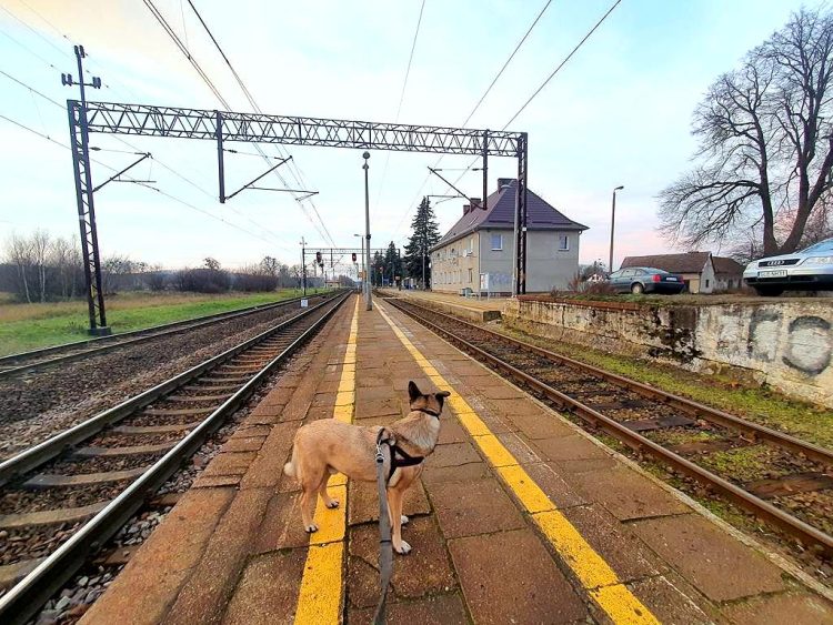 nowości i utrudnienia 