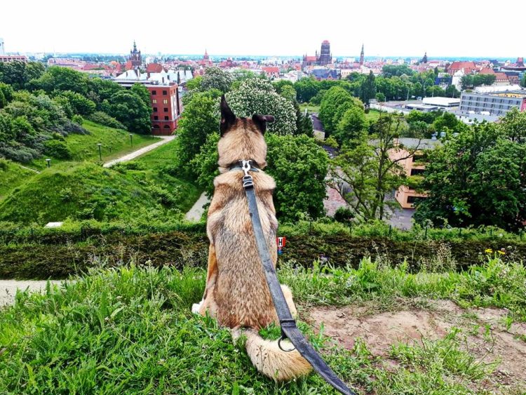 Wakacje w Gdańsku Akcja lato dla dzieci