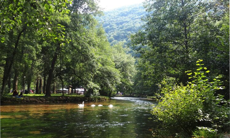 Ilidža Vrelo Bosne  Igman