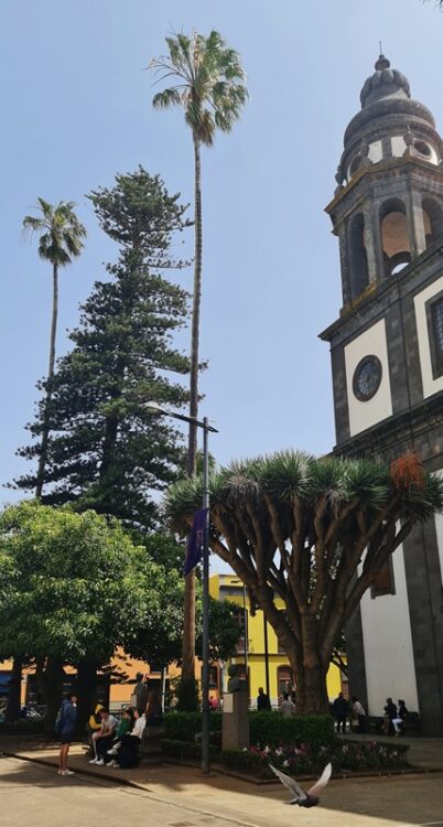 Katedra w La Laguna