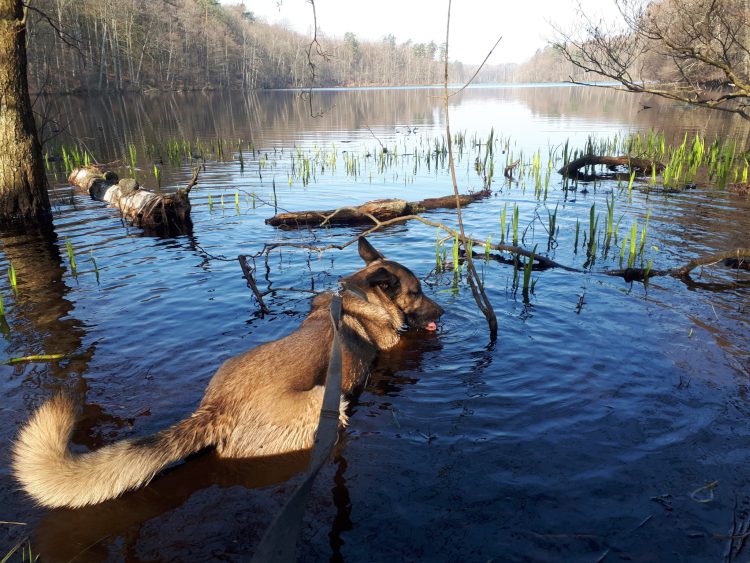 Pojezierze Kaszubskie: Mirachów, Szczelina Lechicka i inne cuda Pomorza!