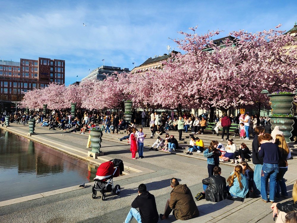 Sztokholm co zobaczyć 