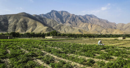 Krajobraz Afganistanu – obszary wiejskie kraju