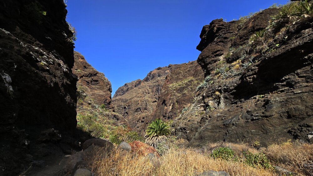 Strzeliste skały w wąwozie Masca