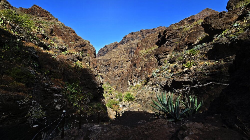 Strome skały w wąwozie Masca