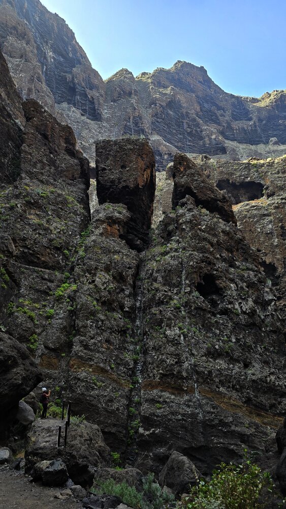 Roślinność i skały w wąwozie Masca