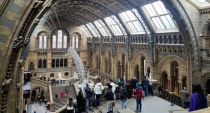 Turyści w sali British Museum w Londynie ze szkieletem dinozaura – możliwe opłaty za wstęp do muzeów
