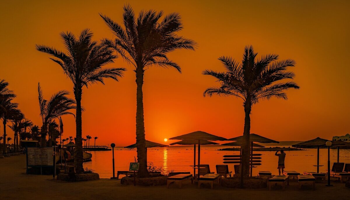 Palmy nad Nilem o zachodzie słońca w Egipcie