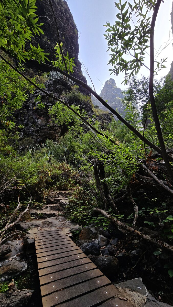 Metalowy mostek nad strumieniem na dnie Barranco del Infierno, otoczony drzewami i skalnymi ścianami.