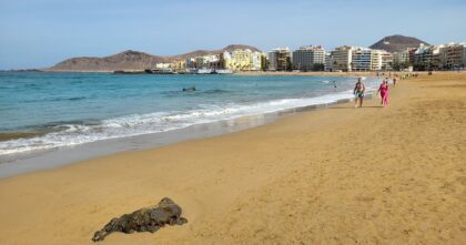 Upały na Wyspach Kanaryjskich. Turyści na plaży Las Canteras w Las Palmas de Gran Canaria