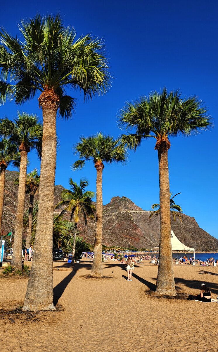 Palmy i turyści na Playa de Las Teresitas